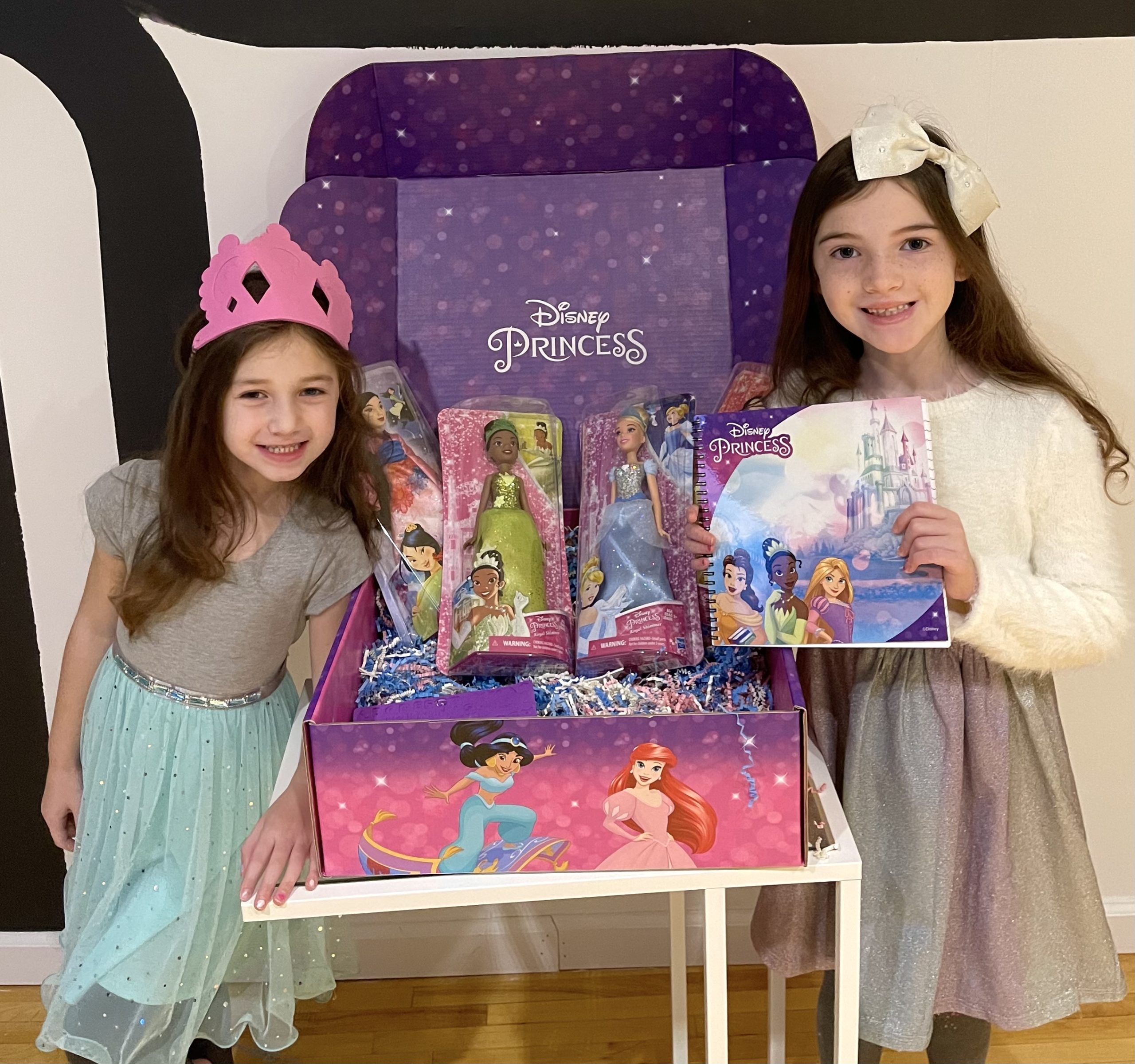 Disney Princess Royal Shimmer  Jasmine Doll New 
